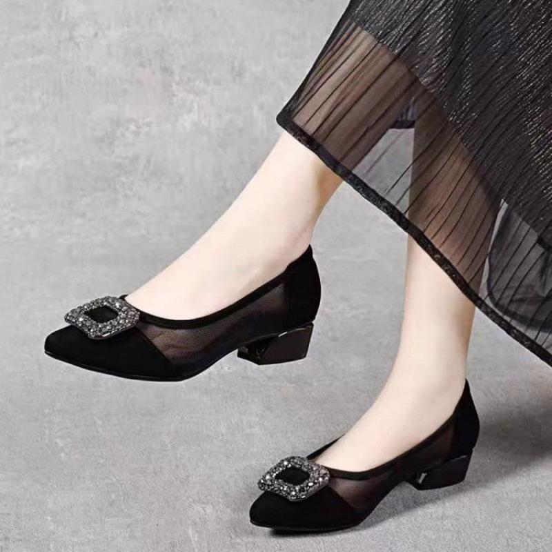 Women'S Fashion Day - Elegant Pointed Toe Mesh Block Heel